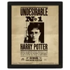 Kép 1/2 - Harry Potter Potter&Sirius 3D lenticular poszter fakerettel