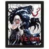 Kép 1/2 - VENOM Teeth and Claws 3D lenticular poszter fakerettel