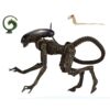 Kép 2/11 - Alien 3 dog ultimate edition figura 24 cm