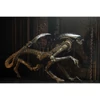 Kép 6/11 - Alien 3 dog ultimate edition figura 24 cm