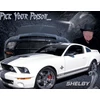 Kép 2/2 - Ford Shelby Mustang Pick Your Poison... fémplakát 40,5 x 31,5 "TACD1610"