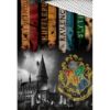 Kép 2/3 - Harry Potter 'Roxforti házak, fekete' ágyneműhuzat szett 140 x 200 + 70 x 90 cm