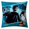 Kép 1/2 - Harry Potter Hogwarts Drago Dormiens Nunquam díszpárna 40 x 40 cm