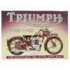 Kép 1/3 - Triumph"Speed Twin" dombornyomott fémplakát 40,8 x 30 cm "TACT32"