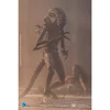 Kép 7/7 - Aliens Brown Alien Warrior figura 1:18, 12 cm