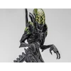Kép 8/8 - Alien vs. Predator  Grid Alien figura 1:18, 12 cm