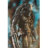 Kép 6/6 - Alien vs. Predator Temple Guard Predator figura 1:18, 11 cm