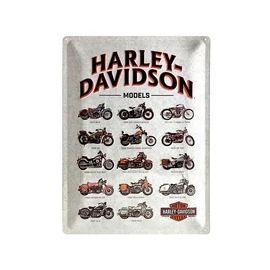2018NOSFEMPLAKAT30X40HARLEYMODELS001.jpg