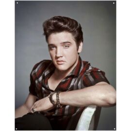 Elvis Presley Portrait fémplakát 31,5 x 40,5 "TACD2433"