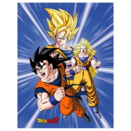 Dragon Ball 'Son Goku' polár takaró 130 x 170 cm