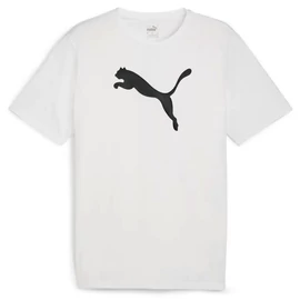 Puma teamRISE logo férfi póló, fehér-fekete, S25