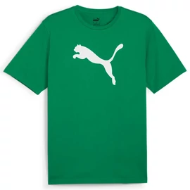 Puma teamRISE logo férfi póló, sport zöld-fehér, S25