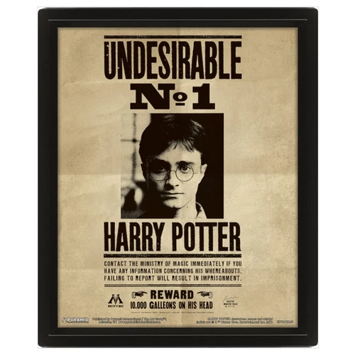 Harry Potter Potter&Sirius 3D lenticular poszter fakerettel
