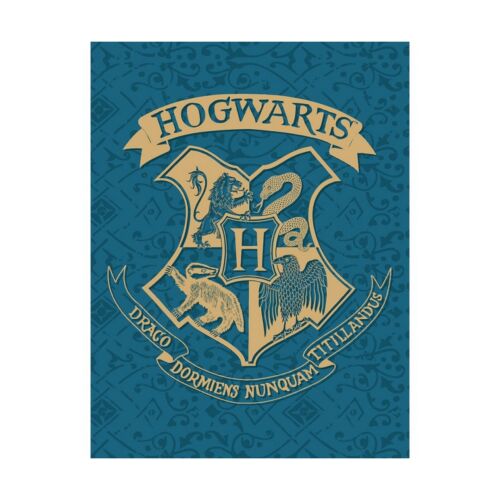 Harry Potter 'Roxforti házak, kék' polár takaró 130 x 170 cm