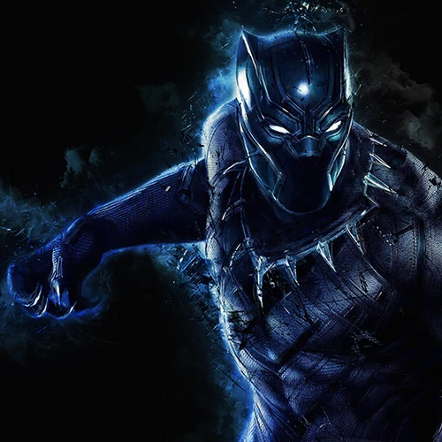 banner-picture
