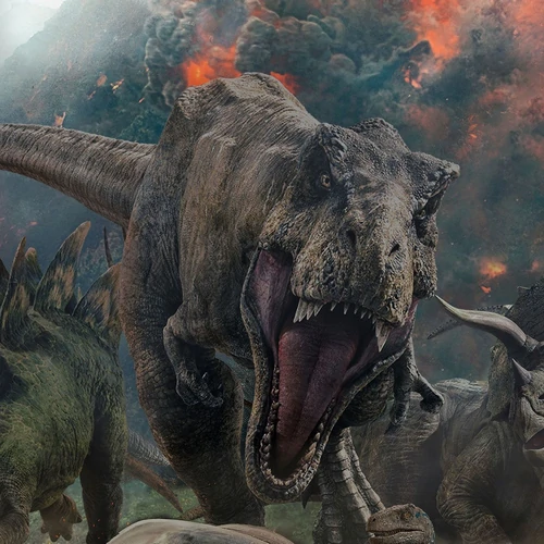 banner-picture