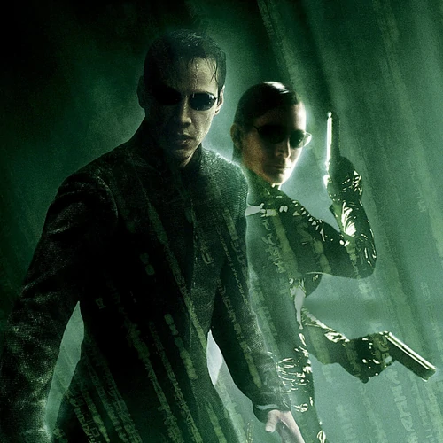 banner-picture