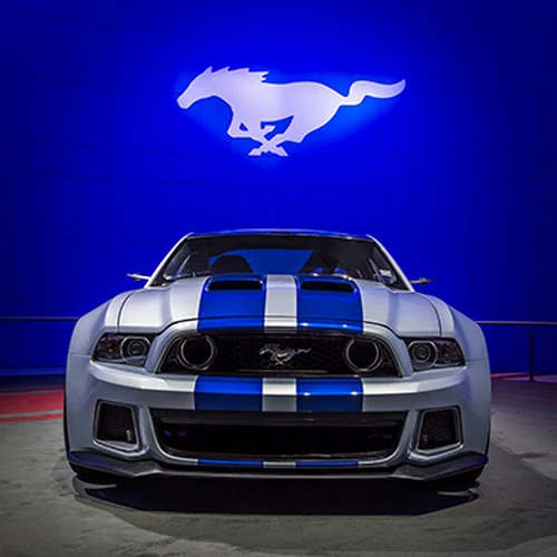 banner-picture