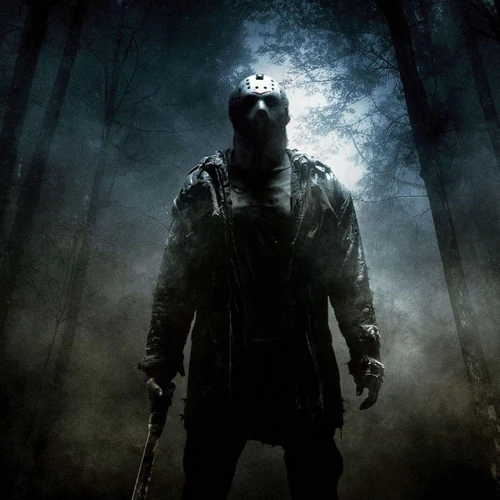 banner-picture