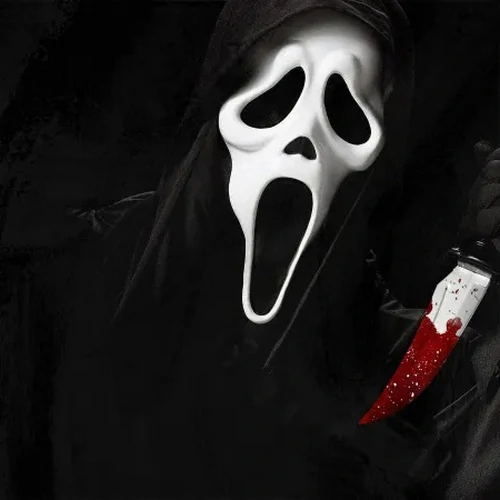 banner-picture