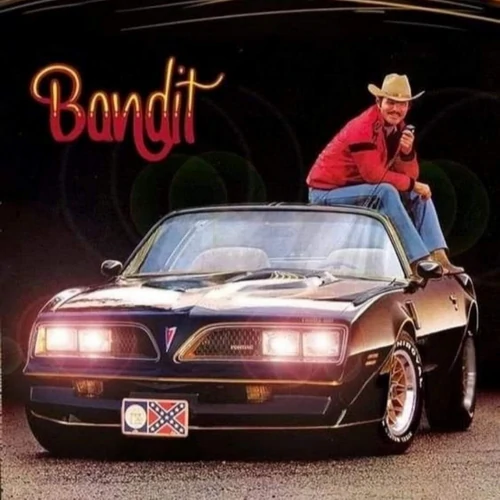 banner-picture