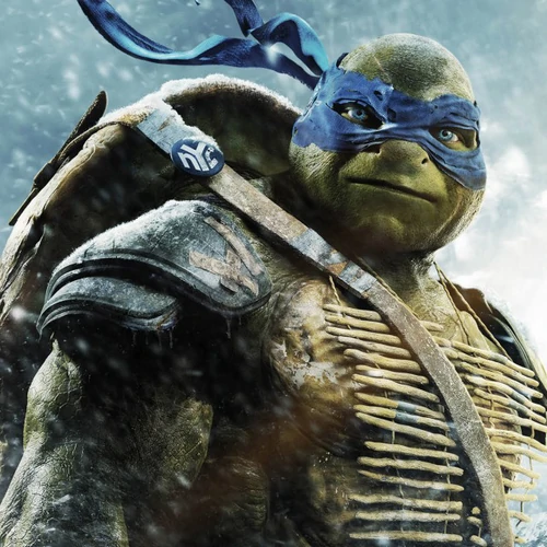 banner-picture