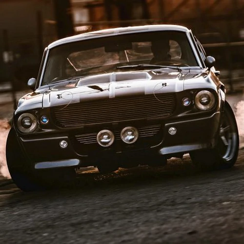 banner-picture