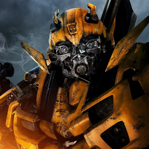 banner-picture