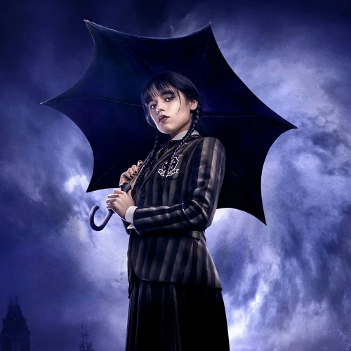 banner-picture